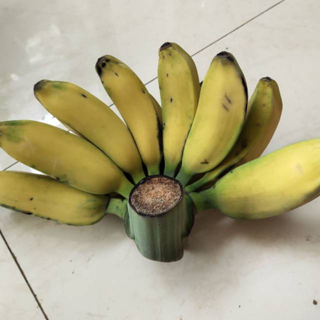 

Pisang kepok 1 sisir