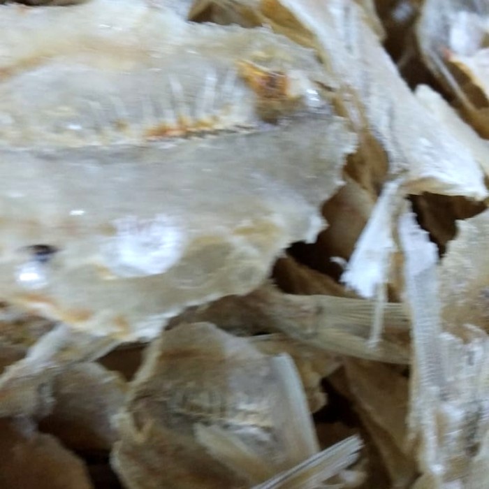 

ikan kapasan tawar tampa tulang asli Medan(250kg)