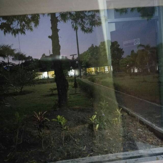 nurulmushaff13