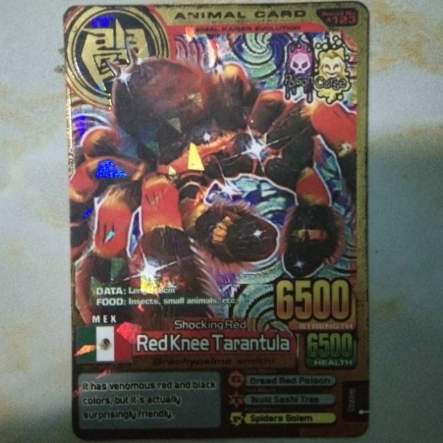 Animal kaiser card redknee tarantula (gold card)
