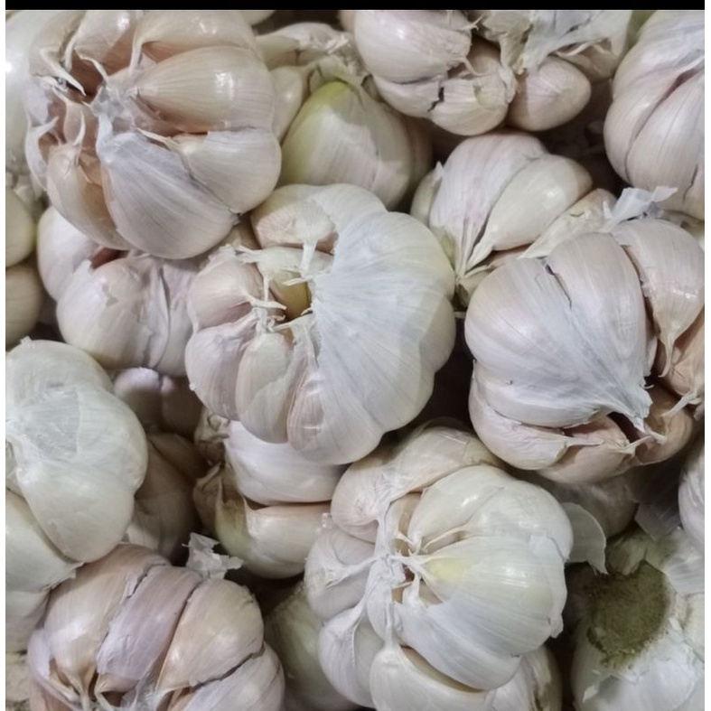 

bawang putih bersih 1kg