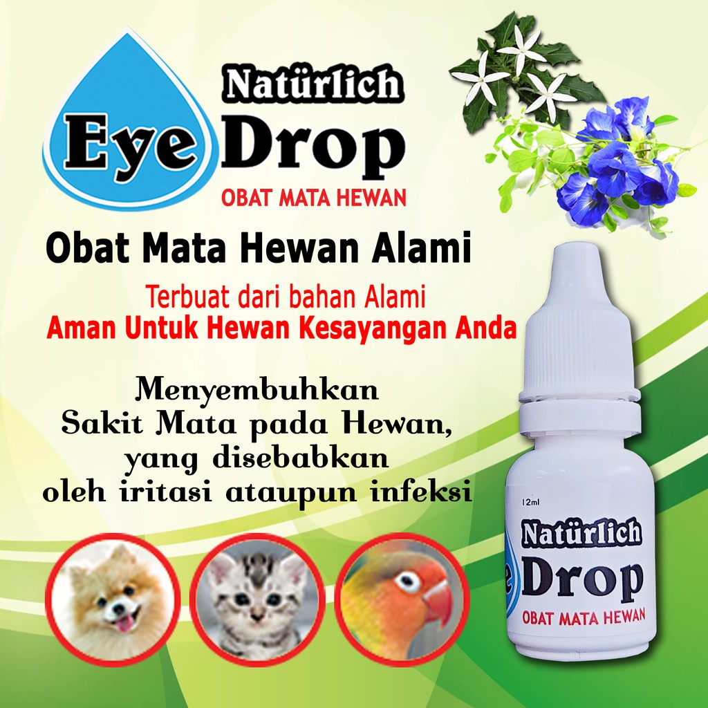 Serum Mata Obat Mata Hewan Anjing Kucing Burung ALAMI dan AMAN