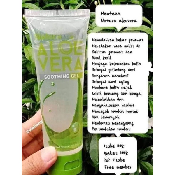 NATURA ALOE VERA SHOOTHING GEL 100% ASLI MEMBER NATURA WORLD