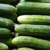 

Buah segar timun sayur/timun lalab fresh per1kg