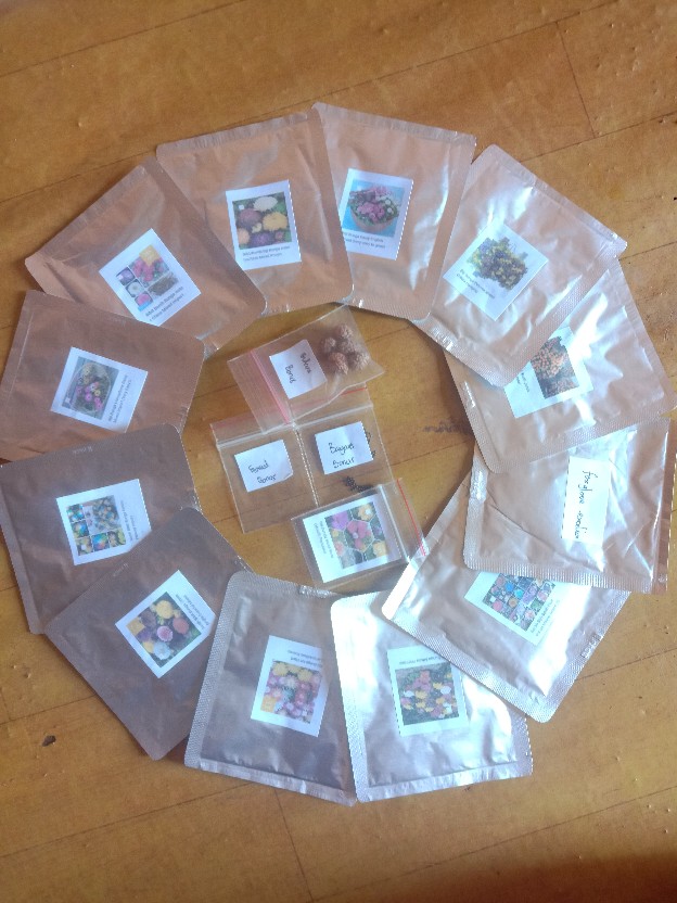 Benih Bibit Bunga Mawar Mixed 25 Warna (isi 50 Biji)