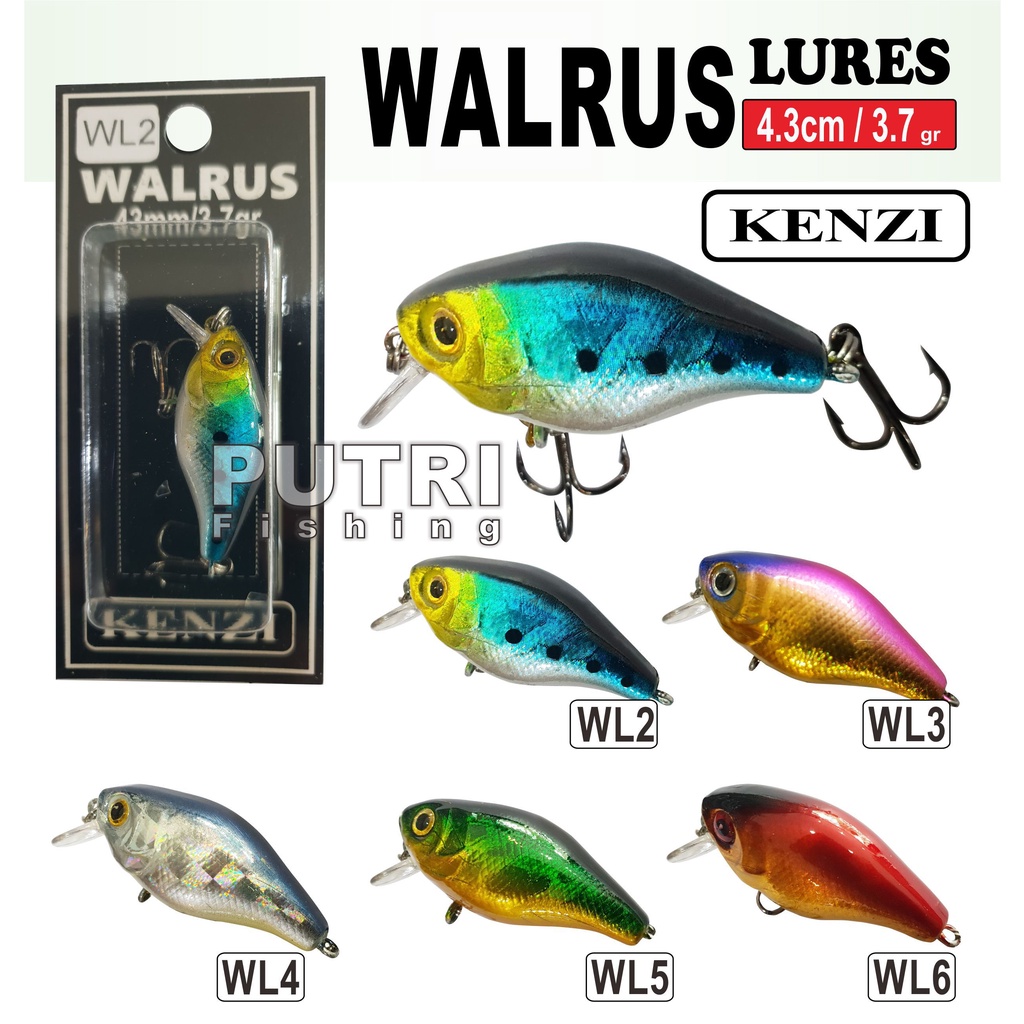 KENZI WALRUS LURES