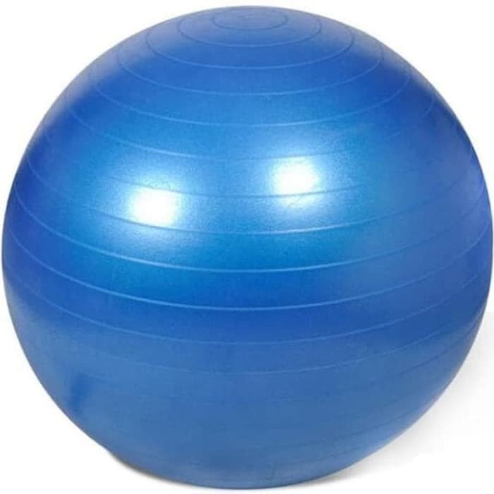 Bola Yoga Pilates Elastis Fitness Gym 55CM Empuk Kenyal Ball Olahraga