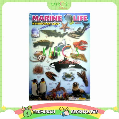 Poster Edukasi Anak Belajar Ikan Water World