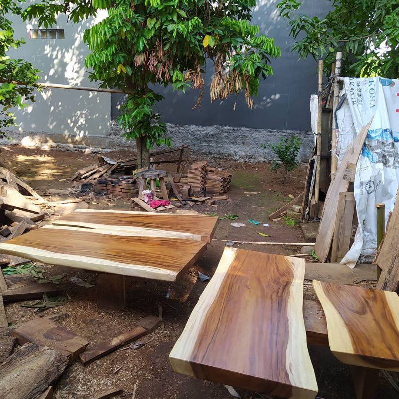 papanan trembesi solid