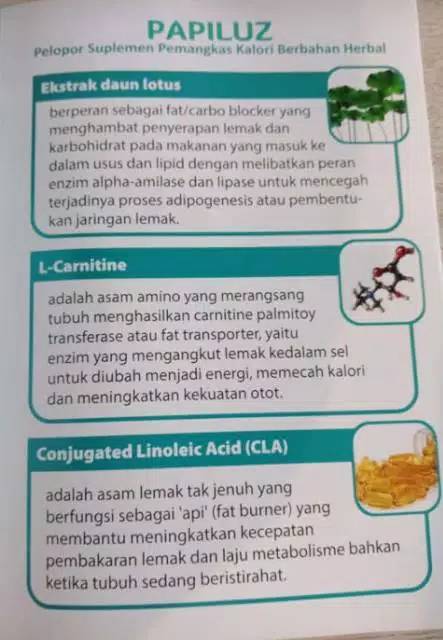 Erlb Papiluz Obat Pelangsing Badan Penghilang Lemak