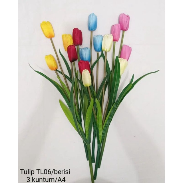 Tulip TL-05