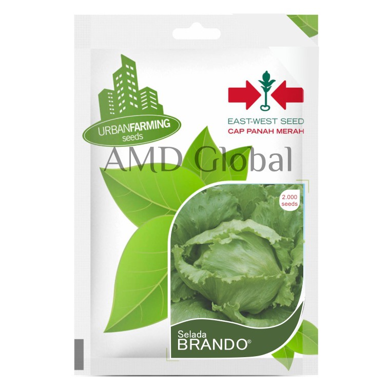 Benih Lettuce / Selada Hijau Brando Cap Panah Merah Isi 2.000 Biji