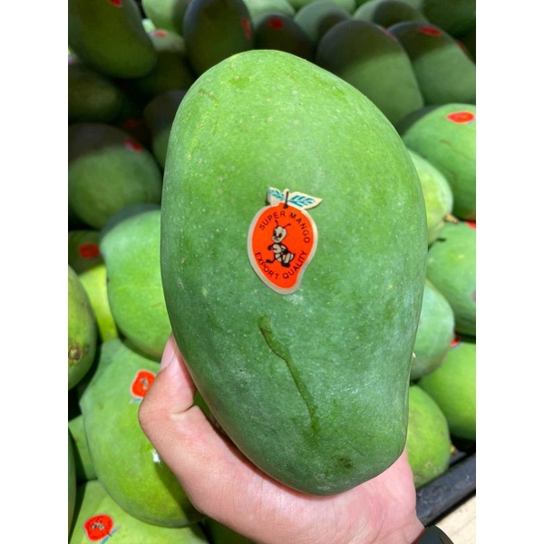 

Mangga harus manis super | 1 kg