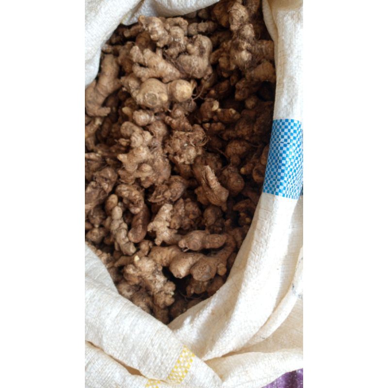 

Jahe emprit lokal 1kg pedas