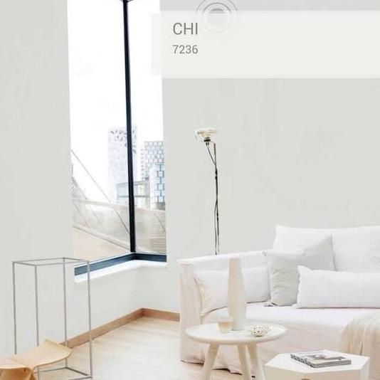 CAT JOTUN TOUGH SHIELD 18L/ PUTIH CHI