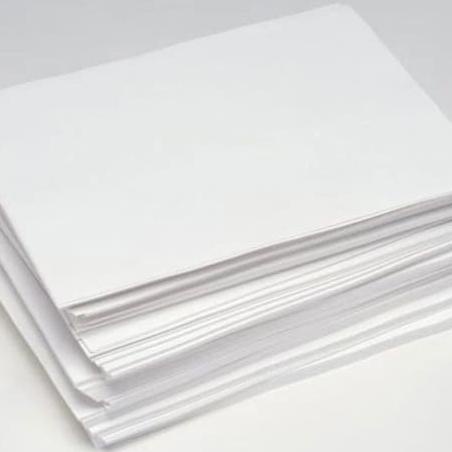 Sale Kertas Ivory Foodgrade Plano 250 Gsm/Gr 79X109 Tanpa Potong - Paling Diminati