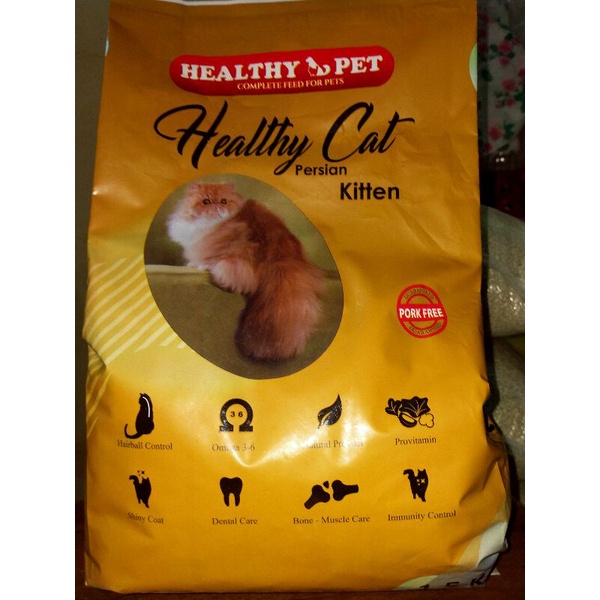 Healthy Cat persian kitten 1.5kg