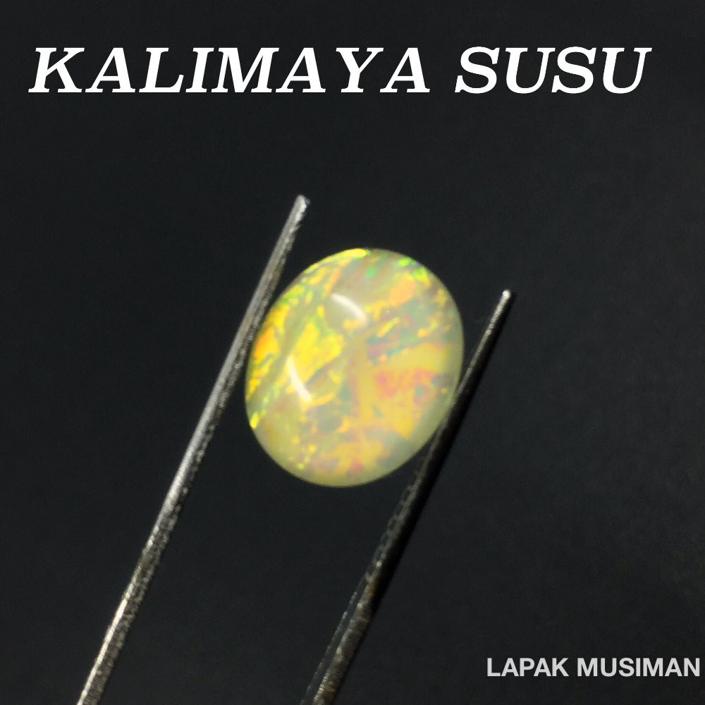 

Jual KALIMAYA SUSU SUPER JARONG Murah