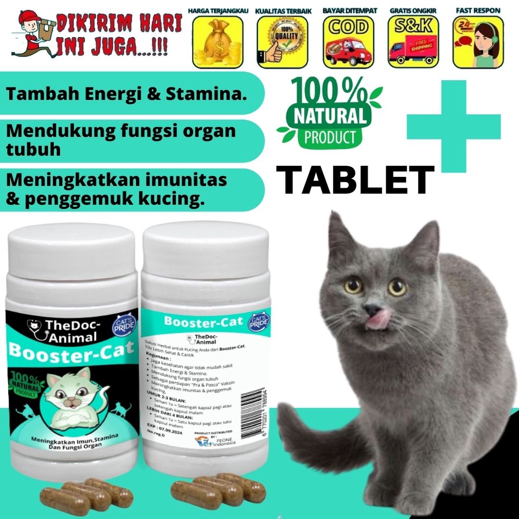 Booster Cat Vitamin Kucing Imunitas, Stamina, Fungsi Organ - ECERAN FEFARM