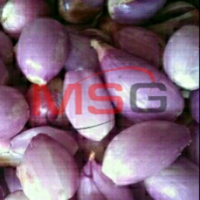 

Bawang Merah Brebes Kupas