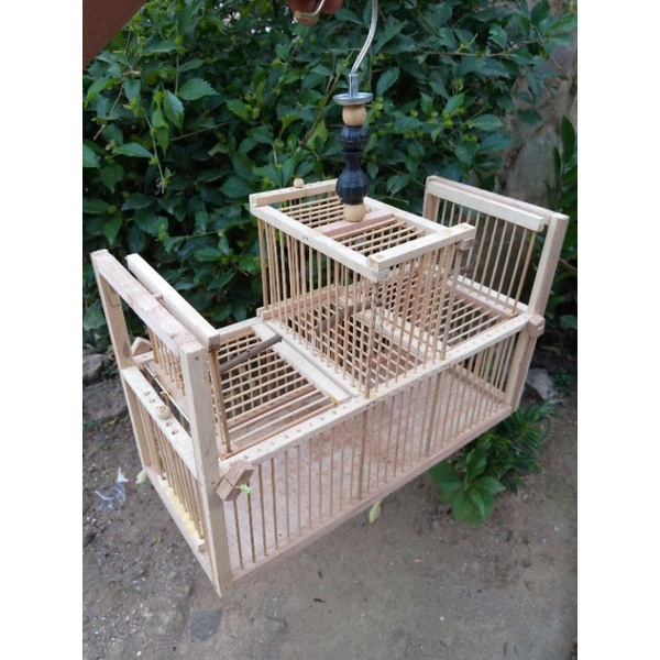 Jebakan burung otomatis sangkar jebakan burcil pleci