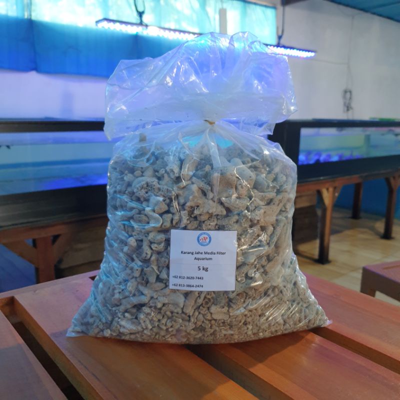 Jual Karang Jahe Media Filter Aquarium 5kg Shopee Indonesia