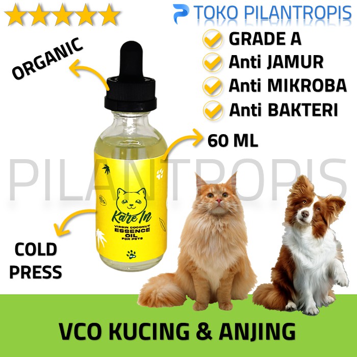 MINYAK VCO UNTUK KUCING KAREIN OBAT MENCRET SCABIES KORENG LUKA GATAL KUCING ANJING KELINCI AMPUH