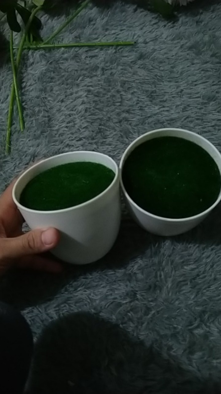 Vas Bunga Plastik Dengan Busa Dan Lumut Vas Bunga Dekorasi Vas Plastik Vas Bunga Oval