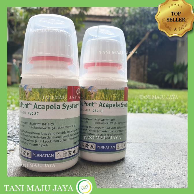 Produk Terbaik Fungisida Dupont Acapela System 280sc 100 Ml Shopee Indonesia