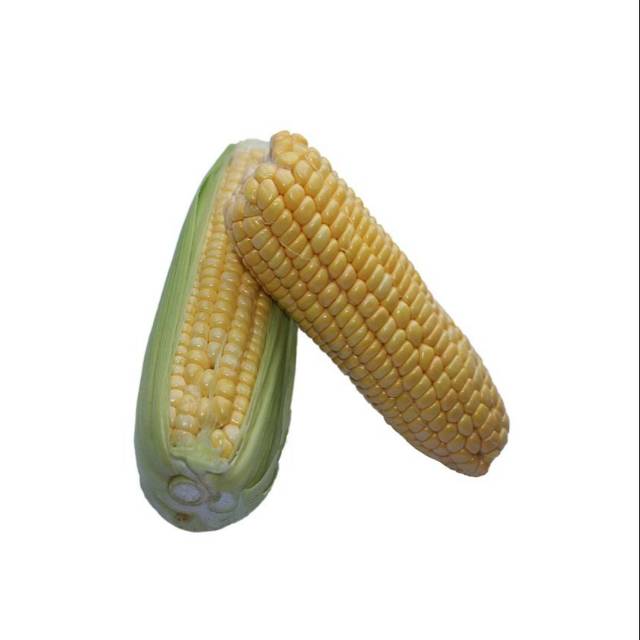 

Jagung Manis