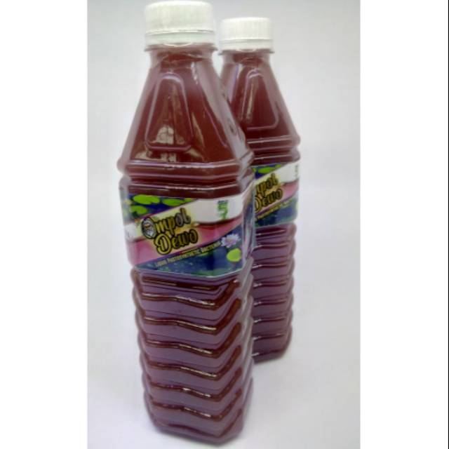 Ompol Dewo - Bakteri fotosintesis untuk tanaman aquascape