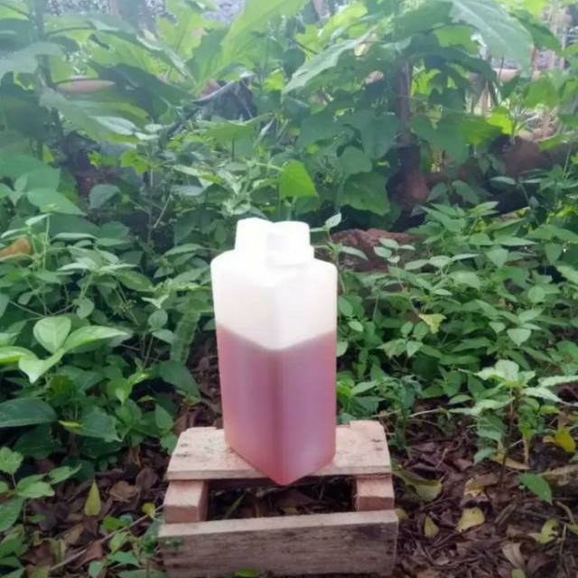 

Madu Randu/Madu Asli/Madu Murni Ukuran 1 Kg