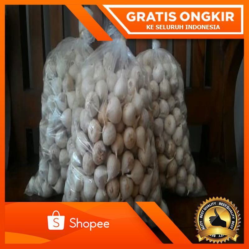 

PRODUK EKSKLUSIF Bawang Putih Tunggal * 1 kg