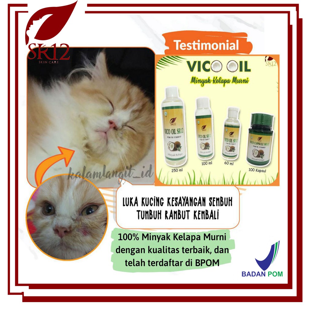 Vico Sr12 Obat Vitamin Hewan Bpom Vco Virgin Coconut Oil Minyak Kelapa Jamur Kucing Anjing Indonesia