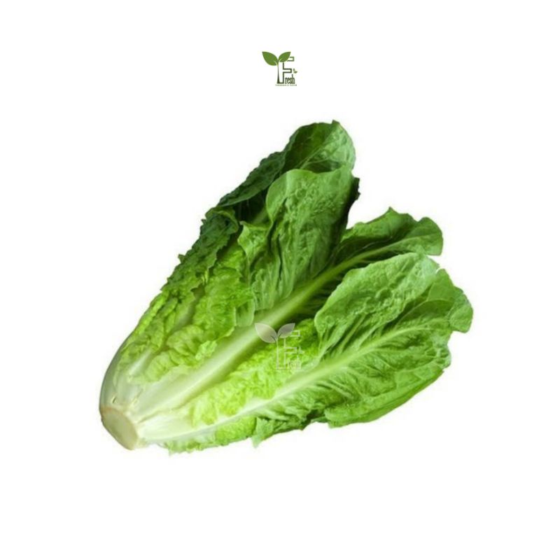 

romaine lettuce 250 gr