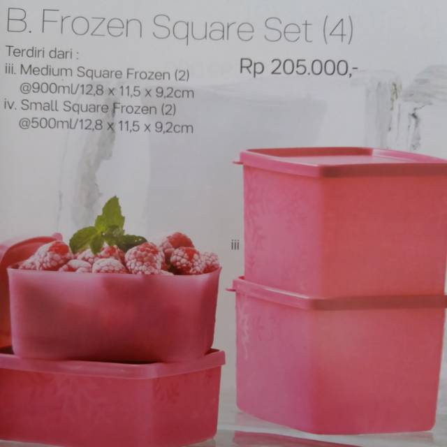 Tupperware_Frozen Square Set (4)