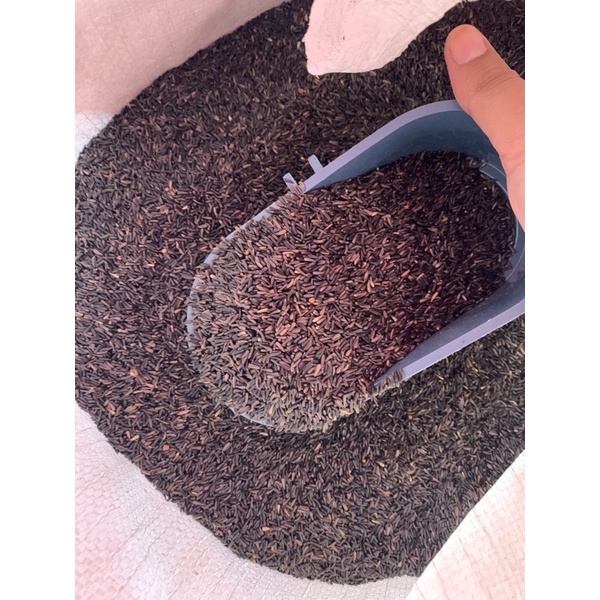 

Niger Seed 500g.