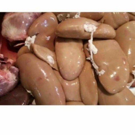 

Ginjal babi 1pasang