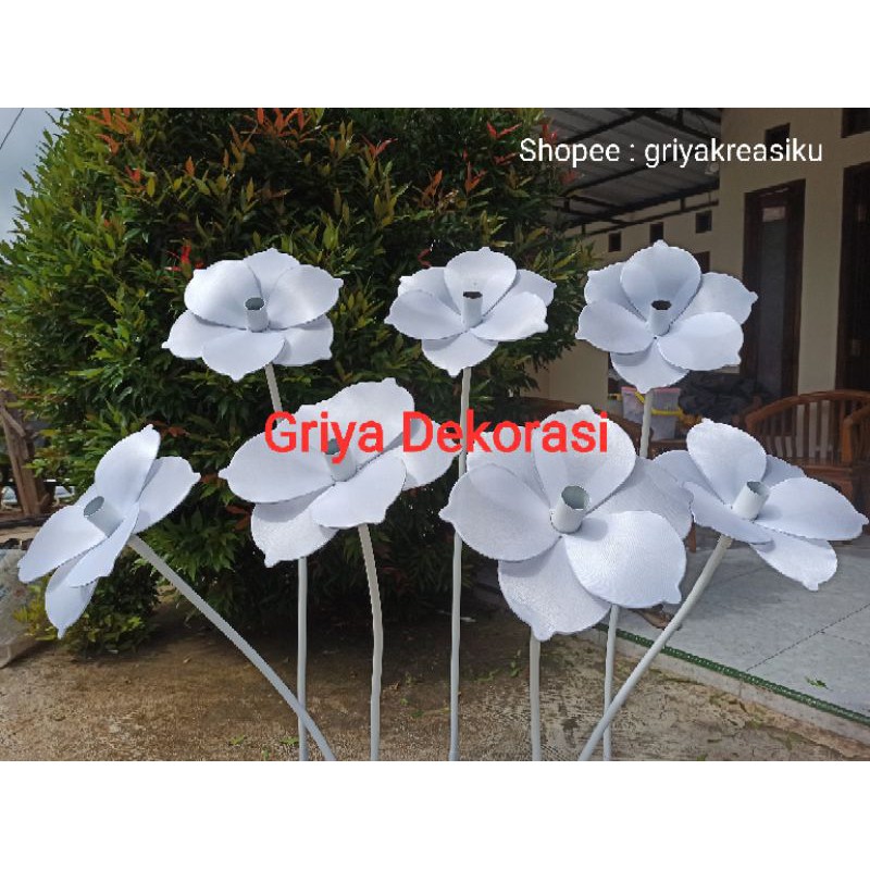 KELOPAK BUNGA KAMBOJA DEKORASI