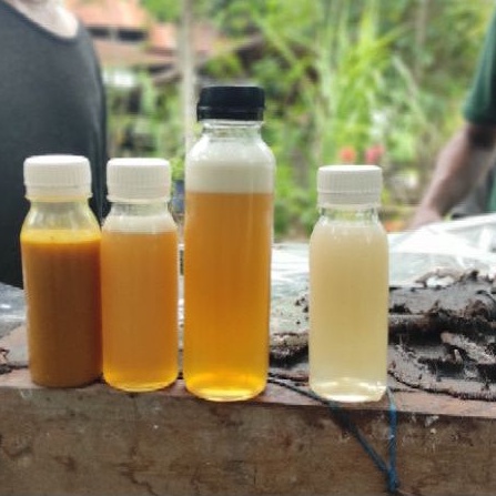 

Madu Linot Aceh 100 ml - 1.200 ml