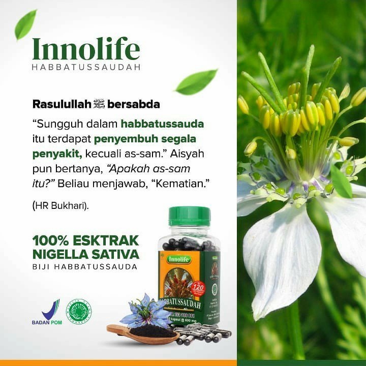 INNOLIFE Habbatussauda Kapsul Serbuk Innolife 100 Kapsul / Jinten Hitam