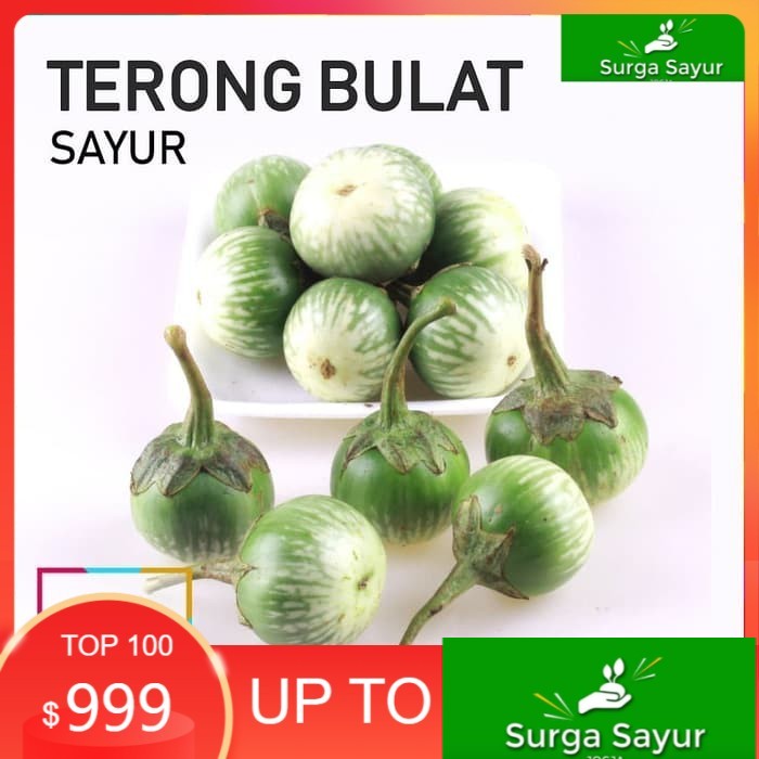 

SURGA SAYUR TERONG BULAT SAYUR [250g] SEJABODETABEK BISA INSTANT MENGGUNAKAN GOSEND &GRAB.