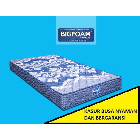 Kasur busa BIG FOAM uk 100 x 200