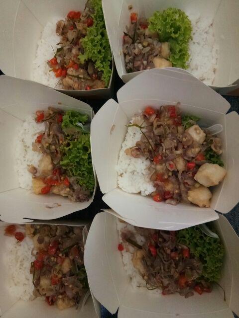 Food Pail - Rice Box, Kotak Bento Polos (l)