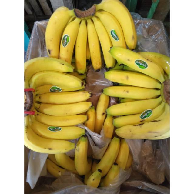 

Buah pisang sunpride|pisang cavendish|pisang sunpride bandung|buah segar|buah segar bandung