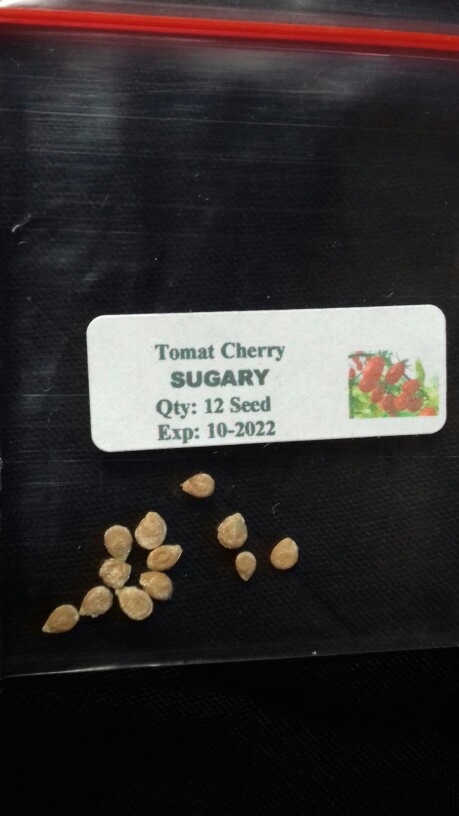 10 Biji -benih Strawberry Holland,benih Buah Strawberry Import