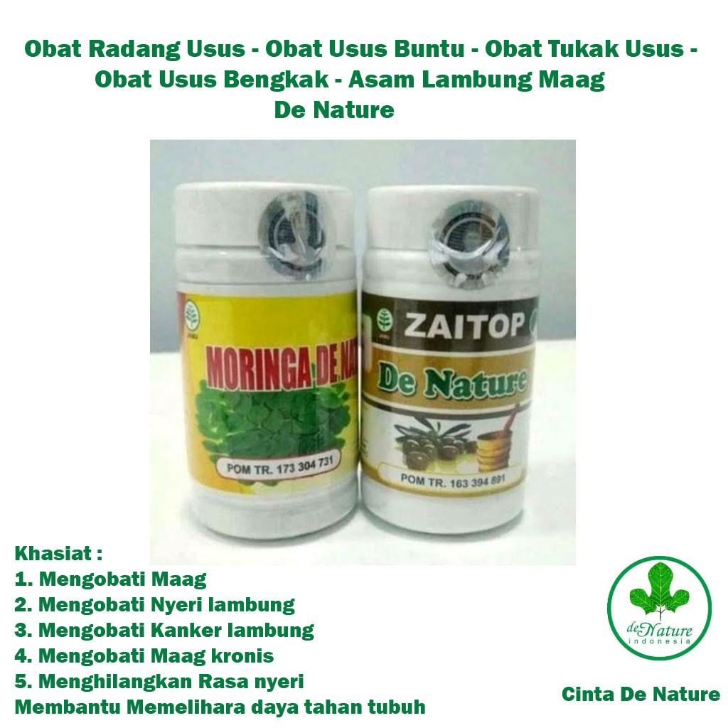 Moringa De Nature Asli Obat Asam Lambung Ampuh Herbal Resmi PT. De Nature Indonesia Ampuh