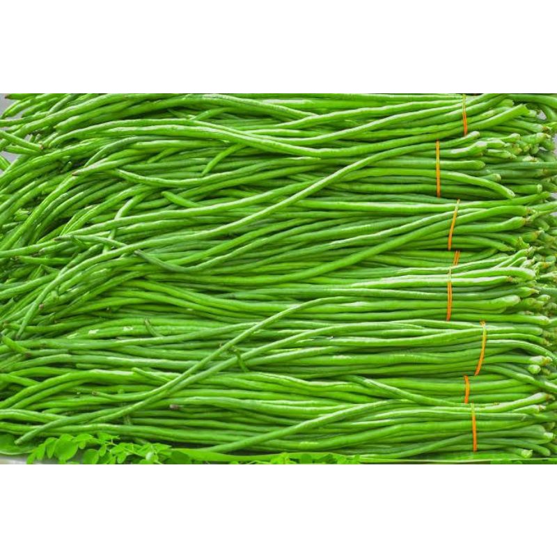 

Kacang Panjang 250gr