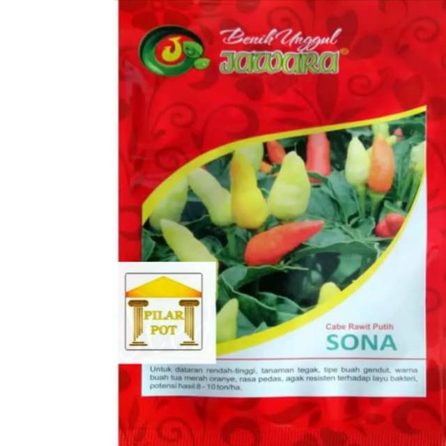 Benih bibit cabe rawit sona produk jawara