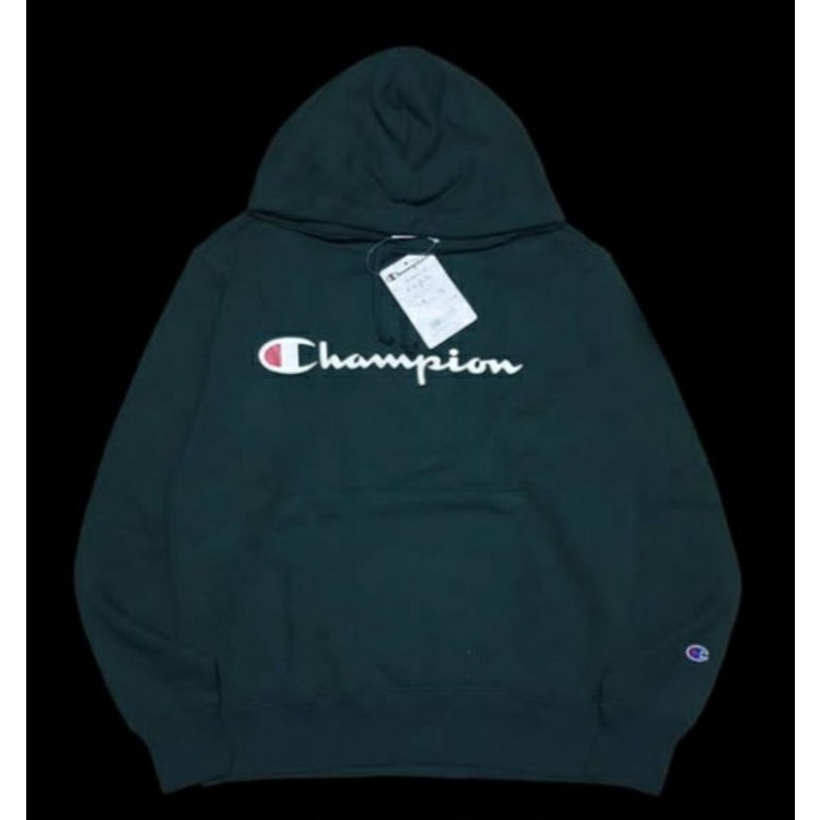 Hoodie champion script logo BNWT